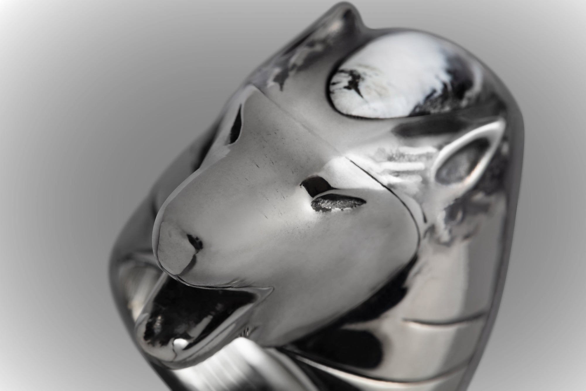LAMAR RING SILVER WHITE BUFFALO TURQUOISE SIZE 10